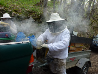 Bienenstockinstallation 