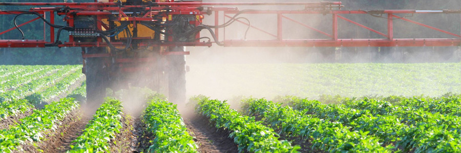 Pestizide werden mithilfe eines Traktors auf einem Feld mit Kulturpflanzen verteilt