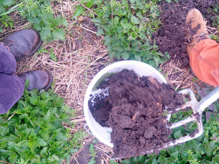 Bodenaushub mit einer Grabegabel für Bodenprobe