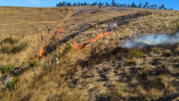 Brandschneisen werden auf Madagaskar als Schutz vor Buschfeuern gebrannt 