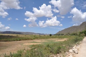 Sun and no trees Photo: ho avy