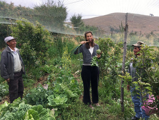 Drei Personen stehen auf landwirtschaftlicher Fläche in Bolivien