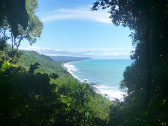 Regenwald grenzt an den Pazifik im Corcovado Nationalpark in Costa Rica