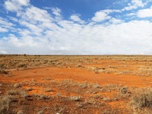 Steppe in Australien unter blauem Himmel