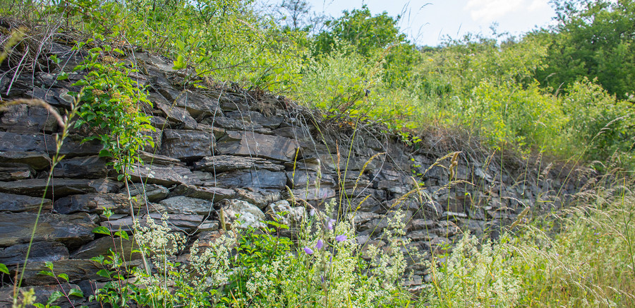 Trockenmauer aus Schiefer in der Dörscheider Heide