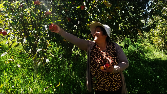 Hier klicken um Video zu starten.