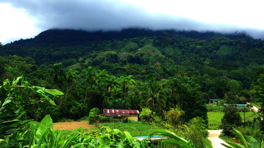 Bauernhaus in Costa Rica vor dicht mit Regenwald bewachsenem Berg