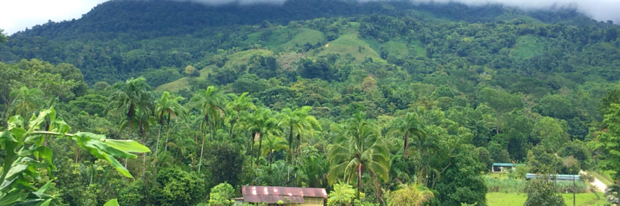 Bauernhaus in Costa Rica vor dicht mit Regenwald bewachsenem Berg