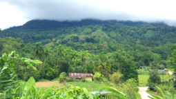 Bauernhaus in Costa Rica vor dicht mit Regenwald bewachsenem Berg