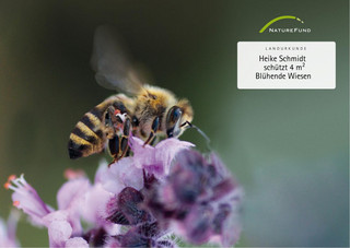 Spendenurkunde für Naturschutzprojekt zum Insektenschutz