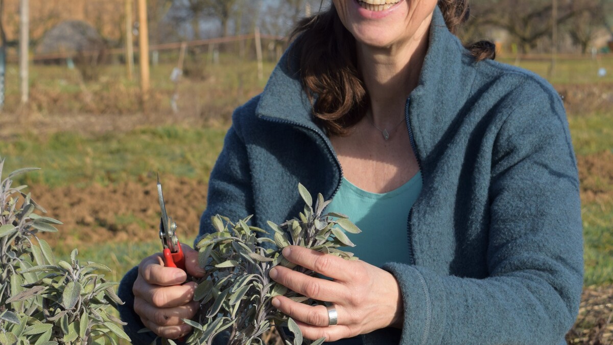 Katja Wiese, die Geschäftsführerin von Naturefund, schneidet Pflanzen in einem Beet