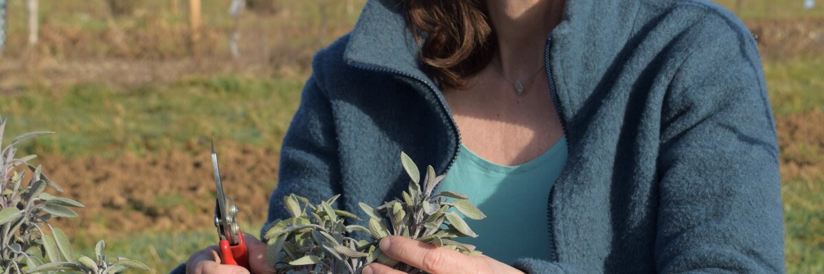 Katja Wiese, die Geschäftsführerin von Naturefund, schneidet Pflanzen in einem Beet