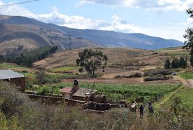 Dicht bewachsene Dynamische Agroforstparzelle im Hochland in Bolivien vor den kahlen Hängen der abgeholzten Anden