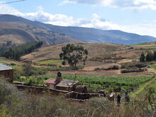 Dicht bewachsene Dynamische Agroforstparzelle im Hochland in Bolivien vor den kahlen Hängen der abgeholzten Anden