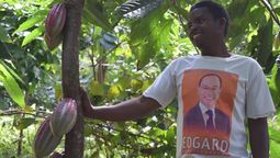 Mann steht neben Kakaopflanze