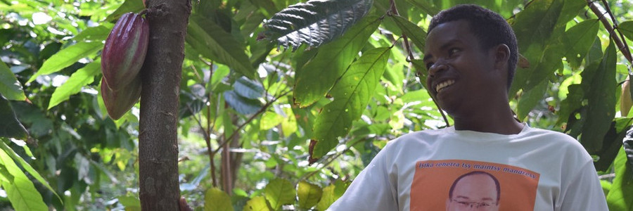 Mann steht neben Kakaopflanze
