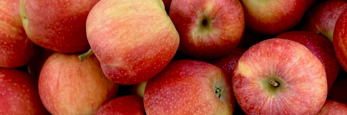 äpfel auf einem haufen