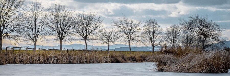 Winterlandschaft – See mit Baeumen