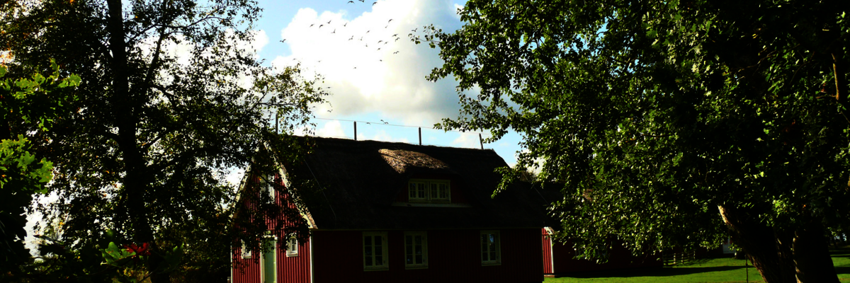 Ferienhaus auf der Insel Kirr