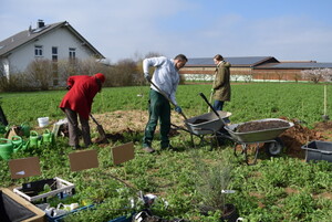 Bulding a dyn. agroforst