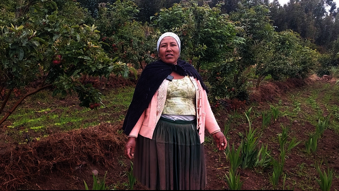 Hier klicken um Video zu starten.