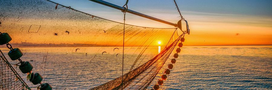 Fischernetzt schwebt über Wasser in der Nordsee