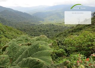 Spendenurkunde Waldschutz- und Aufforstungsprojekts in Costa Rica