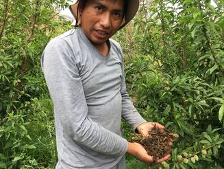 Bolivianischer Bauer hält Erde in den Händen