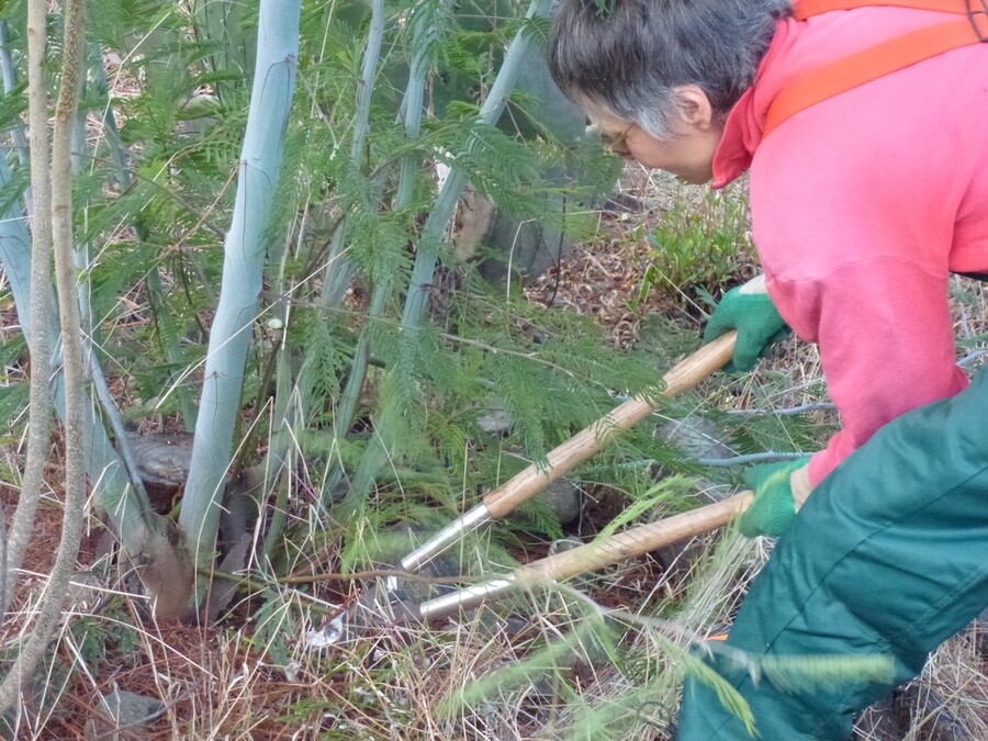 Cortar desde abajo Foto: Naturefund