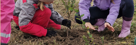 Kinder pflanzen einen Sprössling in die Erde
