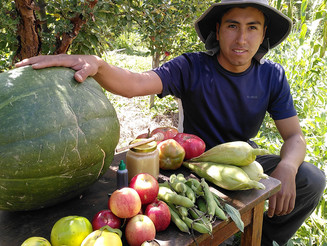 Bolivianischer Kleinbauer mit Obst- und Gemüseernte