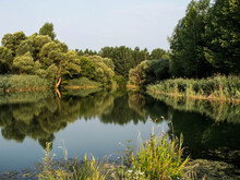 blick in eine intakte Auenlandschaft