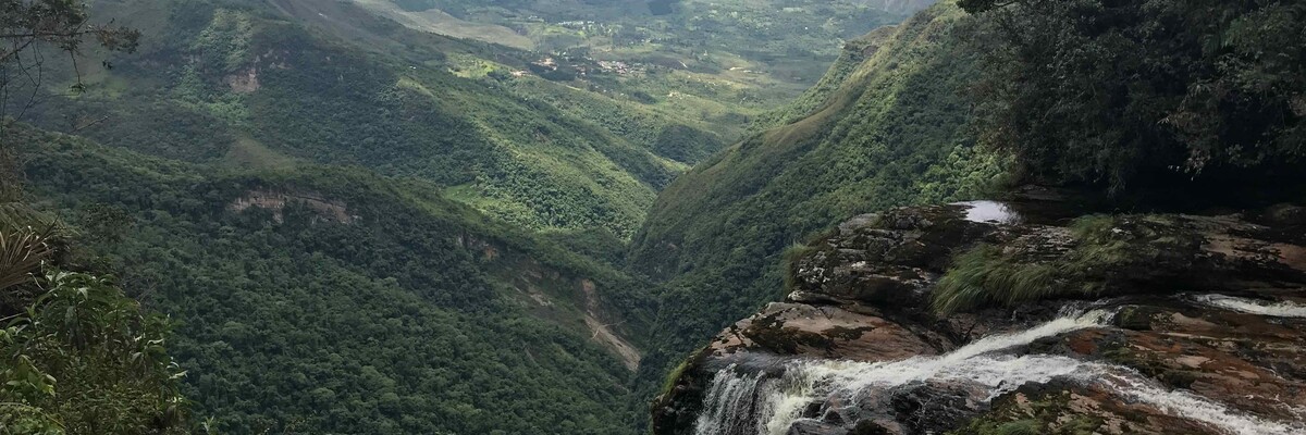 Blick in den Amazonas Regenwald