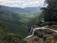 Blick in den Amazonas Regenwald