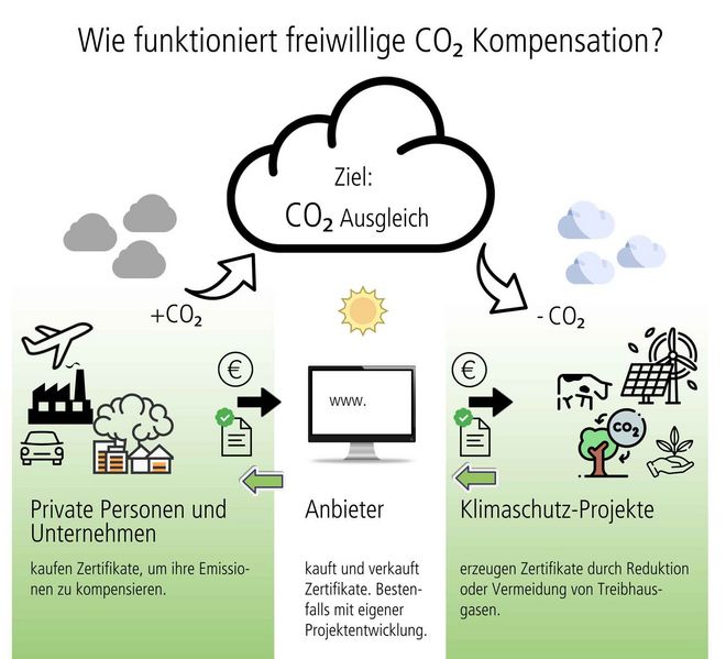 Infografik über die Vorgehensweise bei der Kompensation von CO2