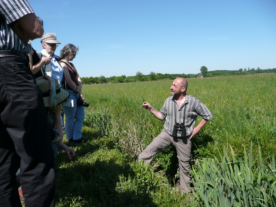 Wolfgang Heimer zeigt einen Großen Wiesenknopf. Foto: Naturefund