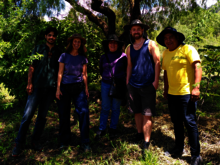 Mehrere Personen stehen auf einer von der Naturschutzorganisation Naturefund angelegten Dynamischen Agroforstparzelle in Bolivien