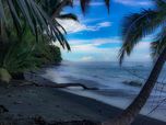 Palmen und Regenwald wachsen bis an den Strand im Corovado Nationalpark in Costa Rica