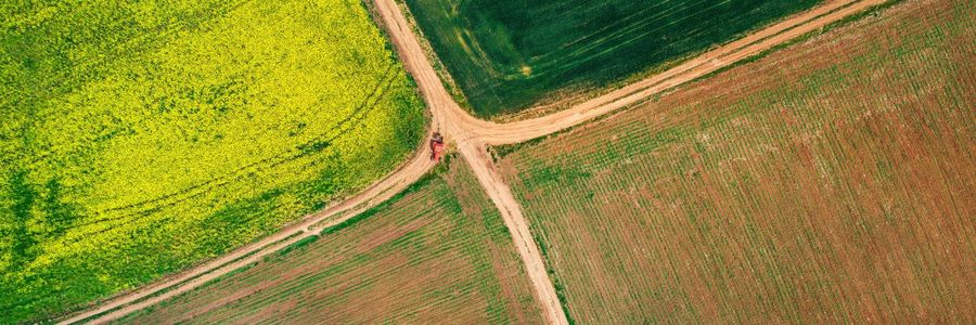 Traktor fährt auf Feldweg zwischen Gabelung von vier landwirtschaftlichen Anbauflächen