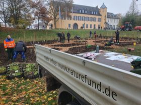 Zur Bildergallerie: Pflanzaktionen mit dem Landkreis Mainz-Bingen