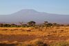 Afrikanische Savanne vor dem Panorama des Kilimandscharo