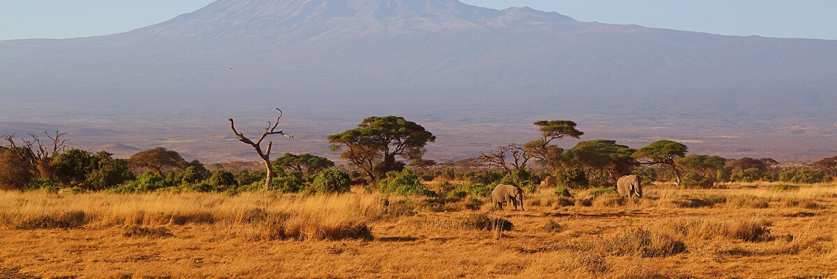 Afrikanische Savanne vor dem Panorama des Kilimandscharo