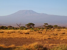 Afrikanische Savanne vor dem Panorama des Kilimandscharo