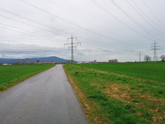 Karge Ackerfläche in der hessischen Gemeinde Pfungstadt
