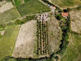 Drohnenaufnahme einer Dynamischen Agroforstparzelle im Hochland von Bolivien neben landwirtschaftlichen Flächen ohne Baumbewuchs