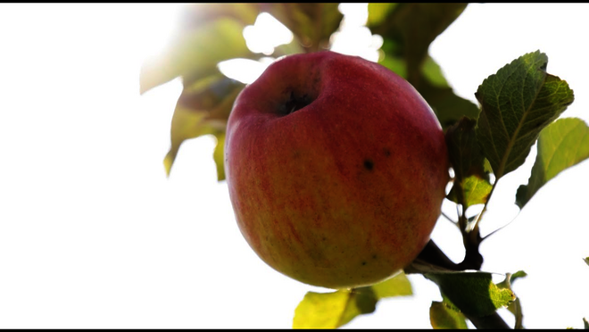 Hier klicken um Video zu starten.