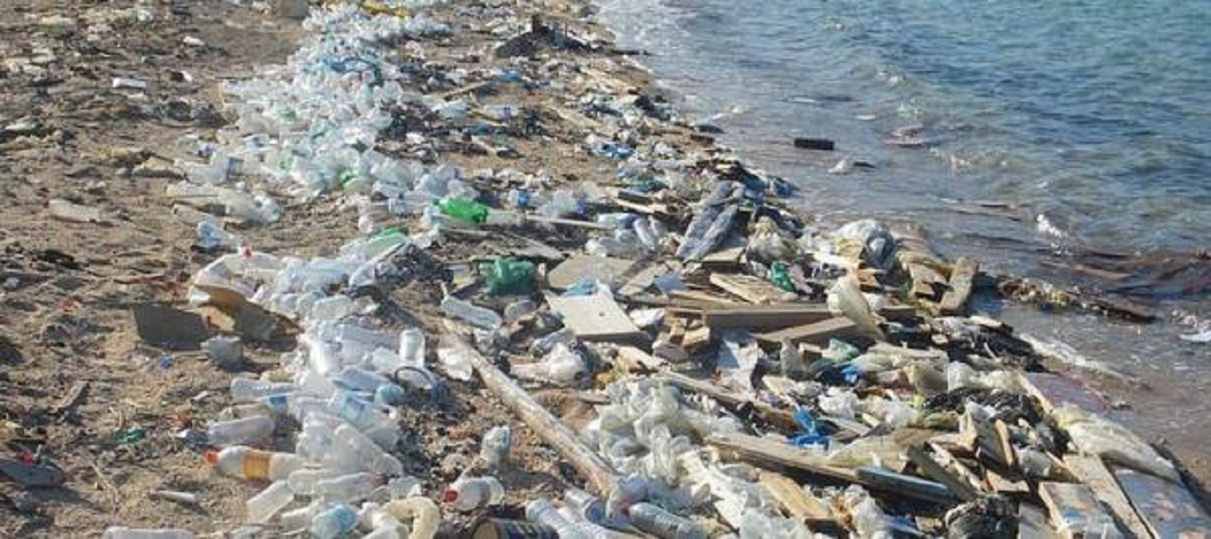 Naturefund Plastikm ll Eine Gefahr f r unsere Umwelt 