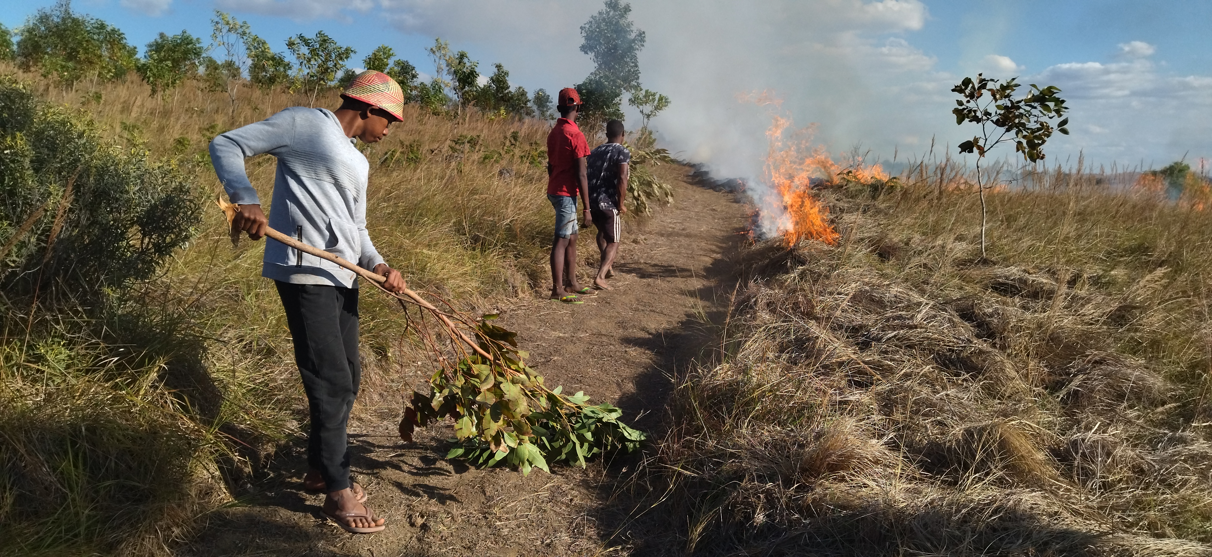 Brandschneise wird angelegt in Madagaskar