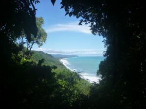 Blick auf die Küste Costa Ricas aus dem Regenwald